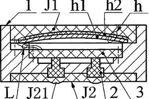 微小型環(huán)保遙控器