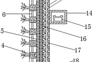可雨水收集的墻體綠化結(jié)構(gòu)