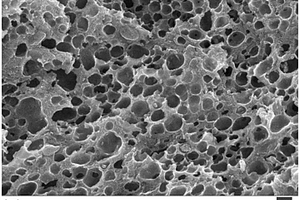 三維多孔磷酸錳鋰、其制備方法及用途