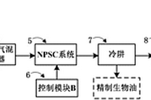 生物質(zhì)與廢塑料制取生物油和燃氣的裝置