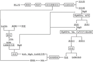 采用硝酸加壓法處理鋰云母生產多種鋰產品的方法