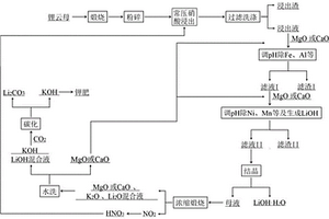 采用硝酸常壓法處理鋰云母生產(chǎn)鋰產(chǎn)品的方法