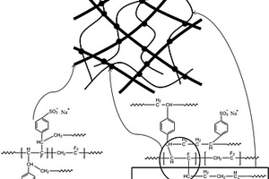 PVDF基陽離子交換膜的制備方法