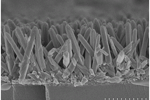 TiO<Sub>2</Sub>納米針薄膜及其制備方法