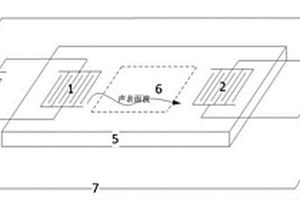 用于可揮發(fā)有機(jī)污染物探測的聲表面波傳感器