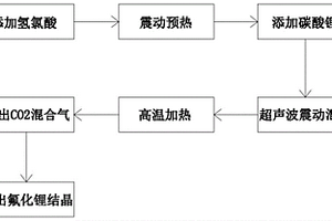 氟化鋰超聲動(dòng)態(tài)反應(yīng)結(jié)晶工藝及其超聲動(dòng)態(tài)反應(yīng)結(jié)晶設(shè)備