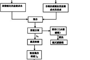 從鹽湖鹵水中提取鋰、鎂的方法