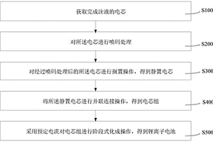 鋰離子電池及其并聯(lián)化成方法