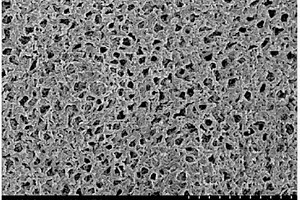 碳材料改性多孔聚合物電解質(zhì)膜及其制備方法