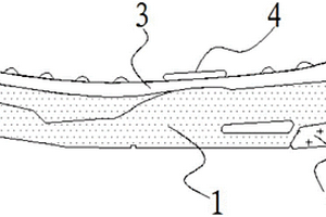 具有步數(shù)監(jiān)測(cè)功能的智能鞋墊