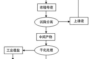 橡膠防焦劑CTP廢水濃縮母液的處理工藝