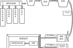 強化處理工業(yè)高含酚廢水的方法