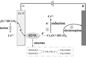使用碳糊電極吸附電還原無(wú)害化處理六價(jià)Cr廢水的方法