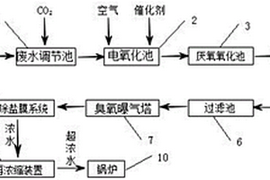 基于電氧化的印染廢水零排放處理裝置