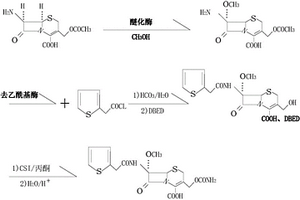 抗菌藥物頭孢西丁酸的合成方法