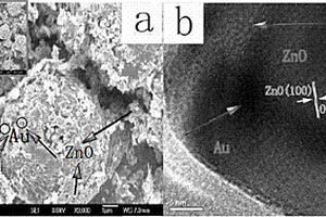 蜂窩狀Au-ZnO異質(zhì)結(jié)可見光催化劑的制備方法