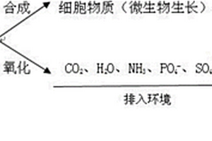 污泥處理方法