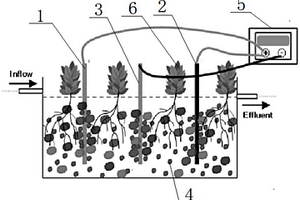 電化學強化人工濕地裝置及其處理受污染水體方法