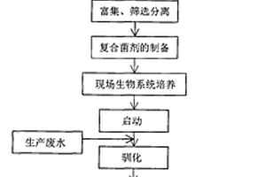 極端嗜鹽菌、及復(fù)合嗜鹽菌菌劑和應(yīng)用