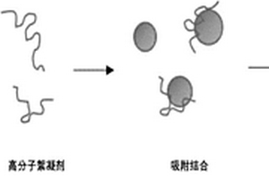 快速處理高密度藻類水體的絮凝劑