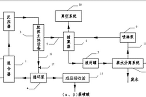 萘連續(xù)磺化的生產系統