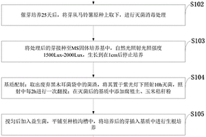 廢棄物作基質(zhì)生產(chǎn)馬鈴薯原種的方法