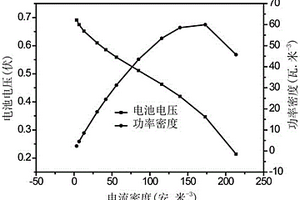 基于三維篩管碳結(jié)構(gòu)作為陽(yáng)極的高性能微生物燃料電池