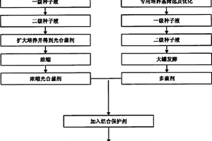 一種復合微生物制劑及其生產(chǎn)工藝