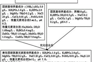 一種以顯色反應作輔助手段篩選產(chǎn)酒精代謝產(chǎn)物的兼性固碳氮微生物的篩選方法