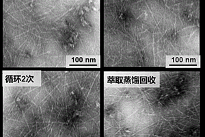 一種基于直接循環(huán)與萃取回收雙策略循環(huán)TEMPO的CNFs生產(chǎn)工藝