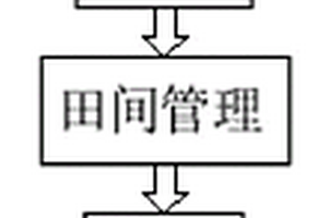 一種玉米種植方法