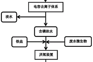 一種電容去離子結(jié)合厭氧鐵還原合成藍(lán)鐵石的磷回收方法