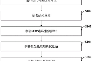 表面增強拉曼散射結合免疫層析技術檢測布魯氏桿菌方法