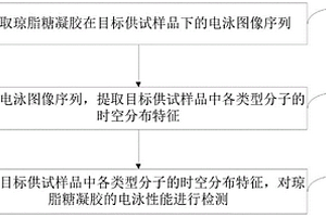 瓊脂糖凝膠的電泳性能檢測方法及相關(guān)設(shè)備