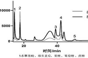 李子中化學成分含量的測定方法