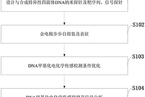 基于四面體DNA納米探針的電化學(xué)分析方法及應(yīng)用