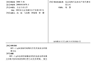 HIV-1 P24抗原吖啶酯化學發(fā)光免疫分析檢測方法