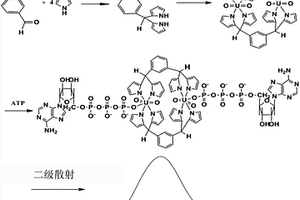 雙核鈾酰配合物在ATP分析中的應(yīng)用