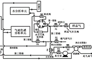 氣體中微量永久性雜質(zhì)氣體和水的一體化分析系統(tǒng)及其使用方法