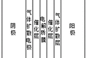 用于質(zhì)子交換膜電解池特性分析的二維穩(wěn)態(tài)模型建立方法