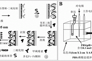 甲砜霉素分子印跡電化學(xué)傳感器及其制備方法與應(yīng)用