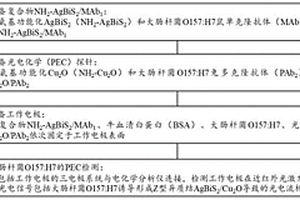 近紅外光電化學(xué)傳感平臺(tái)的構(gòu)建方法和應(yīng)用