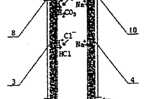 電極電解液室一體化的電化學(xué)離子色譜抑制器