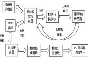 非嵌入式血糖檢測系統(tǒng)及其建造方法及檢測方法