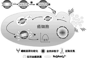 電致化學發(fā)光傳感器用于癌細胞識別的方法