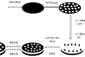 基于電聚合對(duì)巰基苯胺膜制備己烯雌酚分子印跡電化學(xué)傳感器的方法及其應(yīng)用