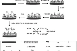 電化學(xué)生物傳感器及其制備方法和應(yīng)用