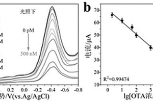 檢測赭曲霉毒素A的電化學(xué)傳感分析方法