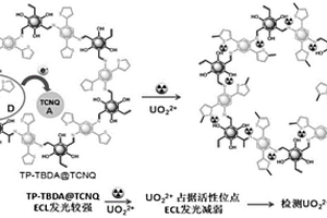 基于外插受體型共價(jià)有機(jī)框架的電化學(xué)發(fā)光體系構(gòu)建方法及應(yīng)用