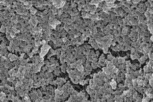 氯霉素的特異性分子印跡聚合物、化學(xué)發(fā)光試劑盒、檢測方法及應(yīng)用